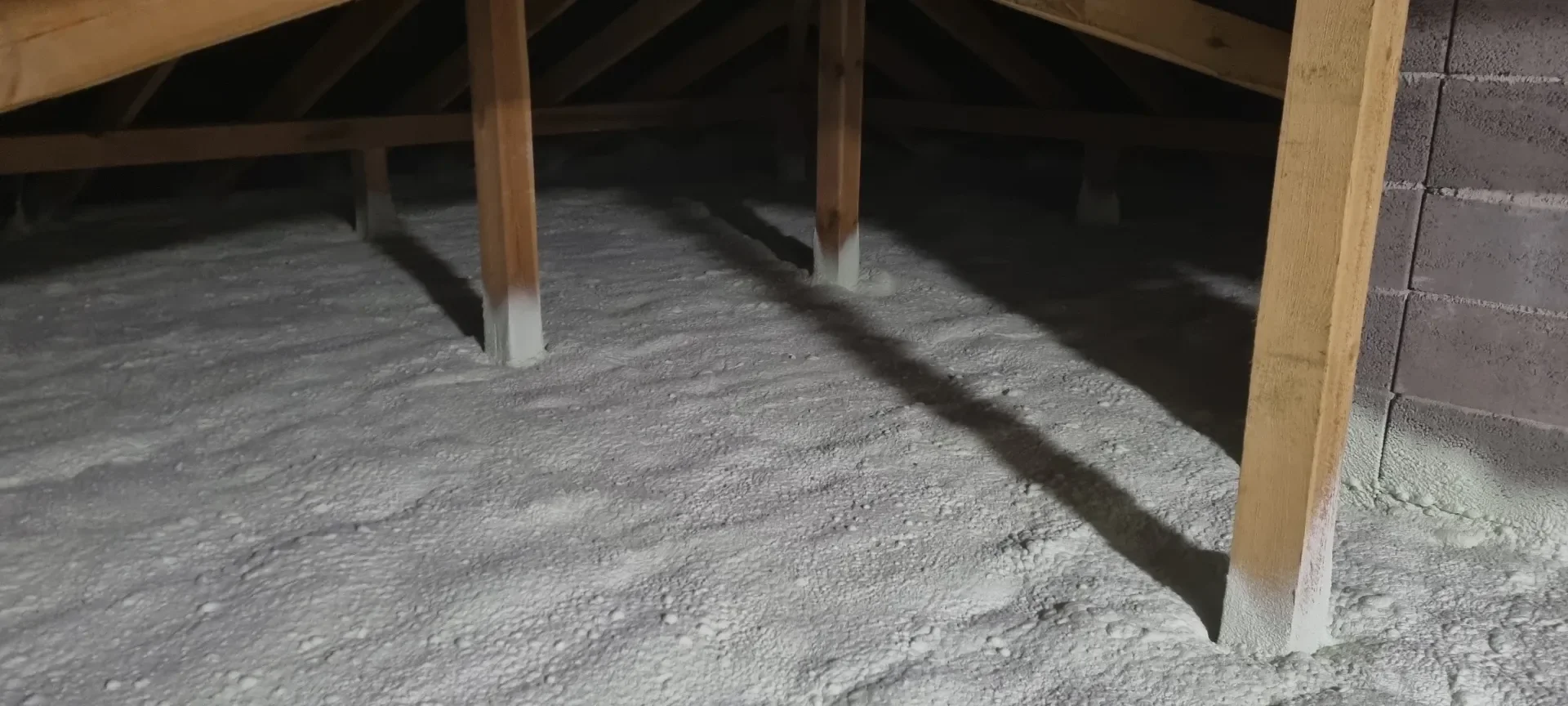 Czy myszy i kuny gryzą piankę PUR? Odporność izolacji na szkodniki