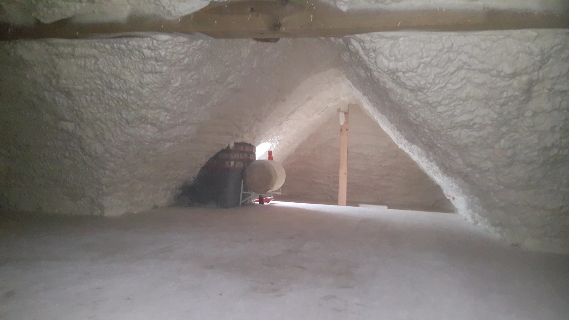 Czy kuny gryzą piankę PUR? Brutalna prawda o szkodnikach na poddaszu