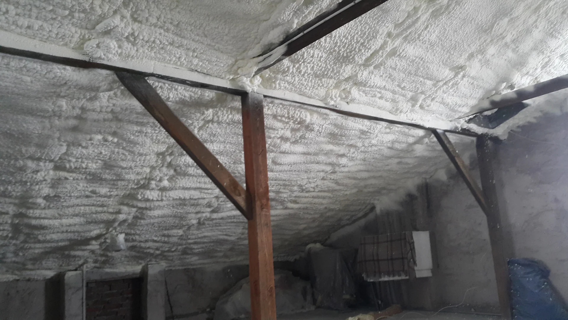Sposób na kuny Mława - bezpieczna dla zdrowia piana PUR to perfekcyjne zabezpieczenie i izolowanie dachu