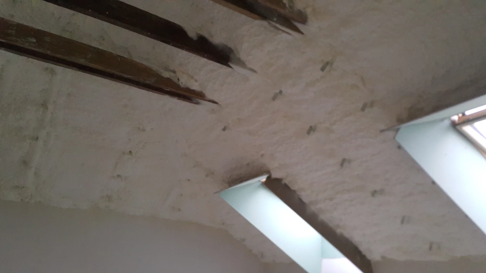 naprawa izolacji dachu i eliminacja mostków termicznych po szkodnikach